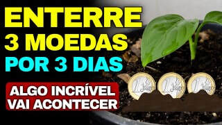 Fotografia